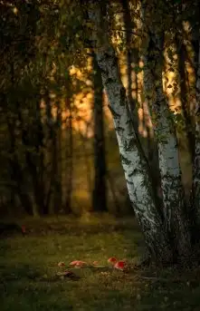 Zdjęcia: Miłośnicy Mazur - dusza Mazur na zdjęciach Piotra Mierzejewskiego - zdjęcie 21