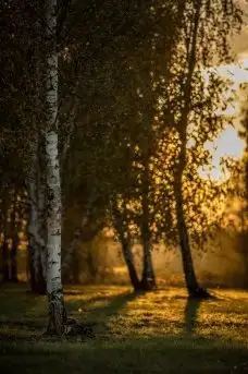 Zdjęcia: Miłośnicy Mazur - dusza Mazur na zdjęciach Piotra Mierzejewskiego - zdjęcie 22