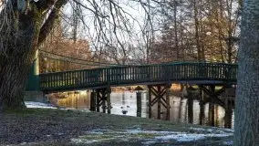 Ełk skąpany w lutowym słońcu - zdjęcie 43