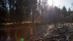 Zdjęcia: Mosty w Botkunach i Kiepojcach - tajemnicze i schowane w lasach - zdjęcie 30