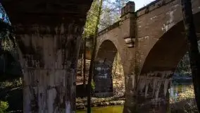 Zdjęcia: Mosty w Botkunach i Kiepojcach - tajemnicze i schowane w lasach - zdjęcie 22