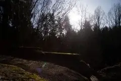 Zdjęcia: Mosty w Botkunach i Kiepojcach - tajemnicze i schowane w lasach - zdjęcie 21