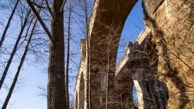 Zdjęcia: Mosty w Botkunach i Kiepojcach - tajemnicze i schowane w lasach - zdjęcie 7