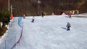 Stok narciarski Gołdap - Piękna Góra - zdjęcie 13