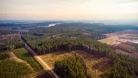 Mazurski las w okolicach Kruklina, luty 2020 - zdjęcie 8