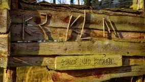 Mazurski las w okolicach Kruklina, luty 2020 - zdjęcie 32