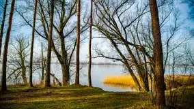 Mazurski las w okolicach Kruklina, luty 2020 - zdjęcie 30