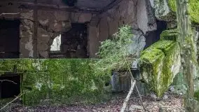 Wilczy Szaniec w Gierłoży zimą jeszcze lepiej widoczny - zdjęcie 28