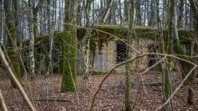 Wilczy Szaniec w Gierłoży zimą jeszcze lepiej widoczny - zdjęcie 43