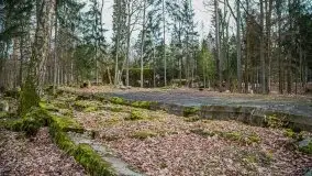 Wilczy Szaniec w Gierłoży zimą jeszcze lepiej widoczny - zdjęcie 55