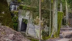 Wilczy Szaniec w Gierłoży zimą jeszcze lepiej widoczny - zdjęcie 76