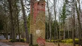 Wilczy Szaniec w Gierłoży zimą jeszcze lepiej widoczny - zdjęcie 130