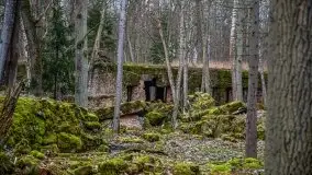 Wilczy Szaniec w Gierłoży zimą jeszcze lepiej widoczny - zdjęcie 136