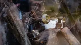 Wilczy Szaniec w Gierłoży zimą jeszcze lepiej widoczny - zdjęcie 147