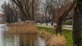 Kętrzyn w półmrokach lutego 2020 - zdjęcie 36