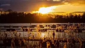 Zachód słońca widoczny w Sztynorcie, 27 luty 2020 - zdjęcie 21