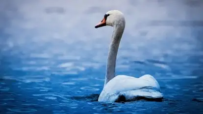 Wiosna w lutym na zdjęciach Stanisława Sielewicza