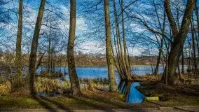 Mrągowo w marcowym słońcu 2020 - zdjęcie 7