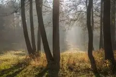 Zdjęcia: Mazurskie pejzaże na zdjęciach Janka Olchówki - zdjęcie 40