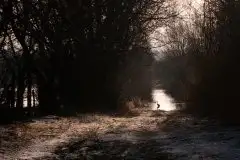 Zdjęcia: Mazurskie pejzaże na zdjęciach Janka Olchówki - zdjęcie 31