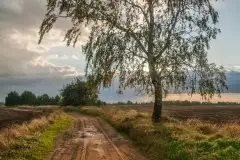 Zdjęcia: Mazurskie pejzaże na zdjęciach Janka Olchówki - zdjęcie 13