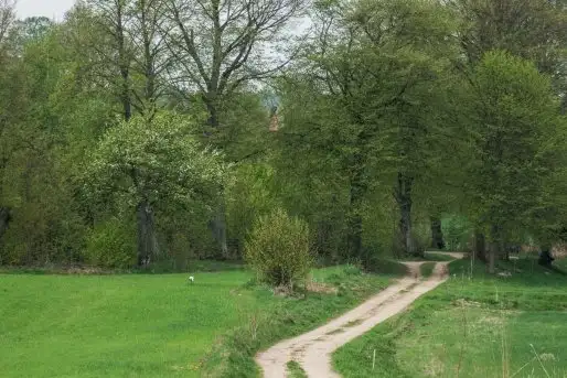 Zdjęcia: Mazurskie pejzaże na zdjęciach Janka Olchówki - zdjęcie 1