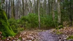 W poszukiwaniu wiosny, okolice Dobry i jez. Dobskiego - zdjęcie 7