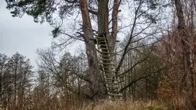 W poszukiwaniu wiosny, okolice Dobry i jez. Dobskiego - zdjęcie 26