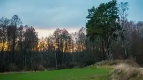 W poszukiwaniu wiosny, okolice Dobry i jez. Dobskiego - zdjęcie 33