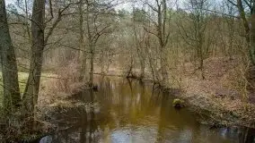 Ruciane Nida w marcowe popołudnie - zdjęcie 23