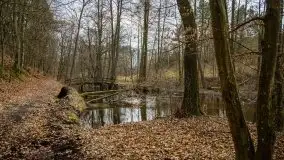 Ruciane Nida w marcowe popołudnie - zdjęcie 18