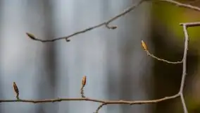 Ruciane Nida w marcowe popołudnie - zdjęcie 12