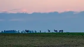 Marcowy zachód słońca nad jeziorem Dobskim - zdjęcie 26