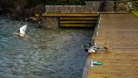 Marcowe kolory Nowych Gutów i jeziora Śniardwy - zdjęcie 48