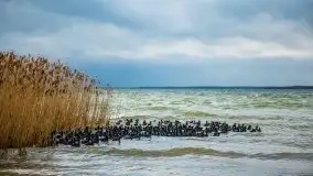 Marcowe kolory Nowych Gutów i jeziora Śniardwy - zdjęcie 44