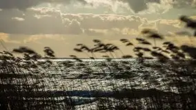 Marcowe kolory Nowych Gutów i jeziora Śniardwy - zdjęcie 28