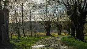 Marcowe kolory Nowych Gutów i jeziora Śniardwy - zdjęcie 22