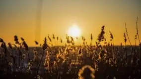 Marcowe kolory Nowych Gutów i jeziora Śniardwy - zdjęcie 8