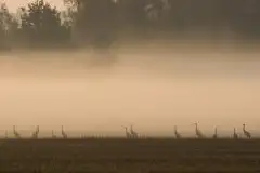 Zdjęcia: Mazurskie pejzaże na zdjęciach Janka Olchówki cz. II - zdjęcie 14