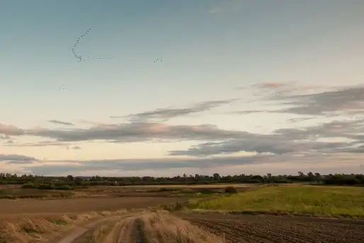 Zdjęcia: Mazurskie pejzaże na zdjęciach Janka Olchówki cz. II - zdjęcie 6