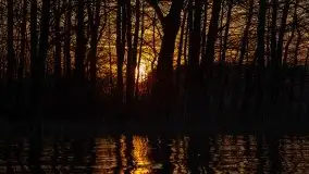 Jezioro Stręgiel skąpane w złocie zachodu słońca - zdjęcie 40