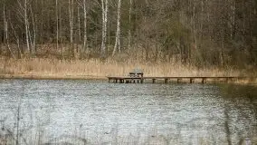 Las nad jeziorem Białym i rzeką Sapiną, marzec 2020 - zdjęcie 34