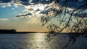 Złote Ogonki i jezioro Święcajty pierwszego dnia wiosny 2020 - zdjęcie 56