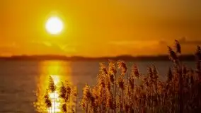 Złote Ogonki i jezioro Święcajty pierwszego dnia wiosny 2020 - zdjęcie 40