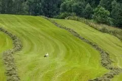 Zdjęcia: Mazurskie bociany na zdjęciach Janka Olchówki - zdjęcie 20