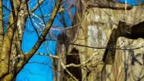 Zachód przy zwalony moście i jeziorze Patelnia, Kruklanki 03.2020 - zdjęcie 36