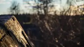 Zachód przy zwalony moście i jeziorze Patelnia, Kruklanki 03.2020 - zdjęcie 26