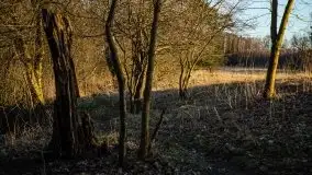 Zachód przy zwalony moście i jeziorze Patelnia, Kruklanki 03.2020 - zdjęcie 24