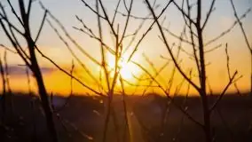 Zachód przy zwalony moście i jeziorze Patelnia, Kruklanki 03.2020 - zdjęcie 11