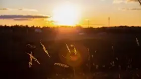 Zachód przy zwalony moście i jeziorze Patelnia, Kruklanki 03.2020 - zdjęcie 6